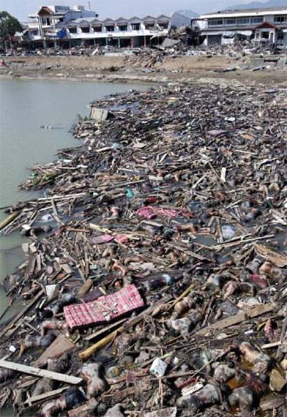 Cadáveres de víctimas del maremoto flotan en una playa de la ciudad de Banda Aceh.