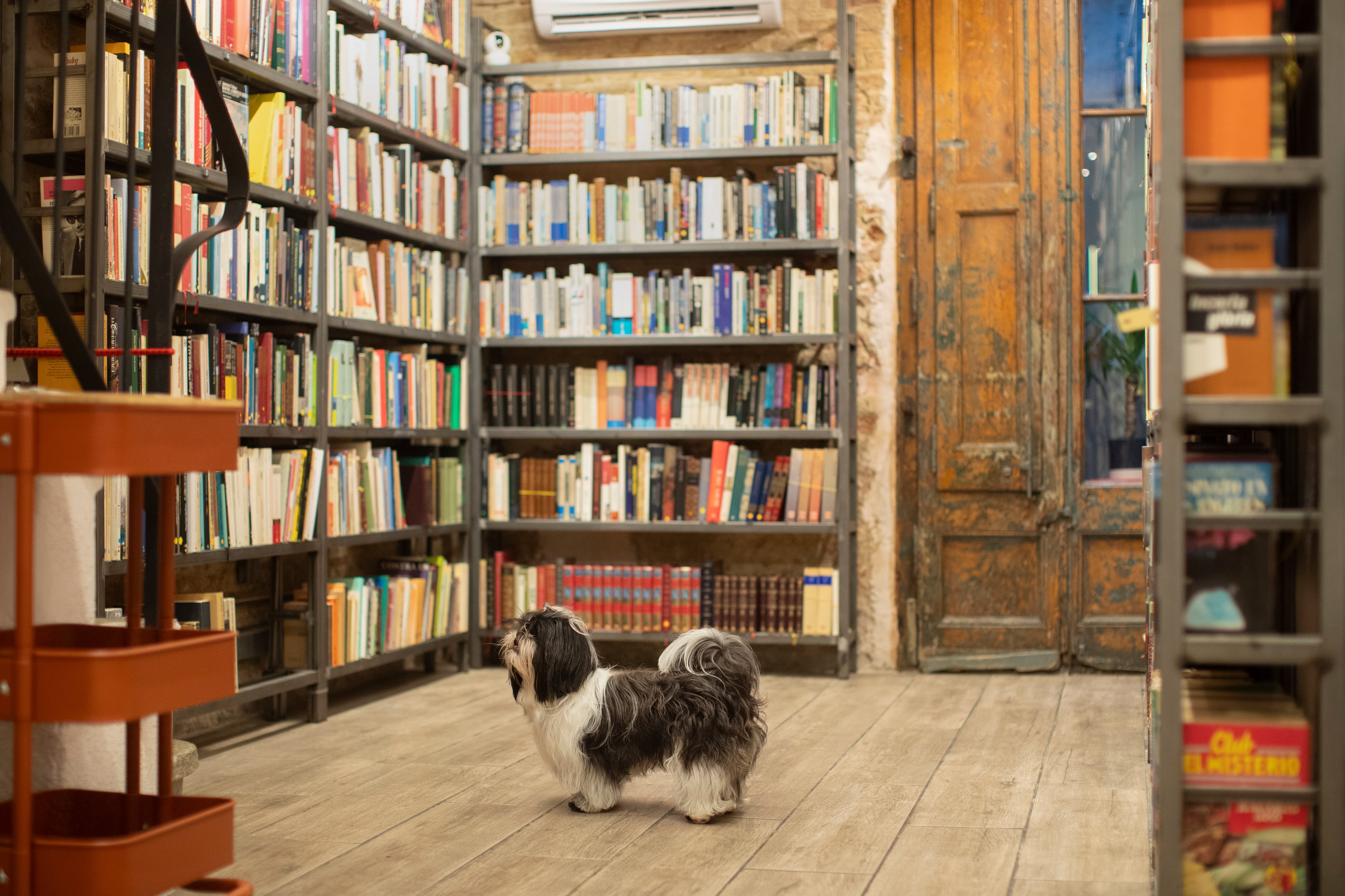 Las tiendas de cercanía frente a los gigantes del ‘e-commerce’