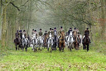 Una partida de cazadores ingleses en acción cabalgan por las cercanías de la ciudad inglesa de Badmington.