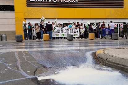 Concentración ganadera en Salamanca Castilla y León