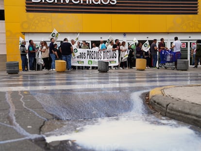 Leche derramada en el suelo durante una concentración ganadera en Salamanca, el 9 de junio.