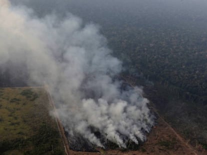 Colunas de fumaça cerca de Porto Velho, no Estado brasileiro de Rondonia, o 21 de agosto.