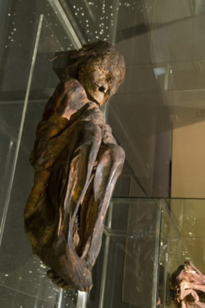 La reproducción de la momia andina a la que se aplicó el TAC multicorte que puede verse en la exposición del Parque de las Ciencias de Granada 'Momias. Testigos del pasado'.