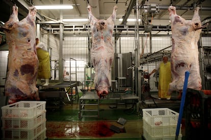 Un matadero de Polonia que produce carne 'halal' y 'kosher', en 2013.