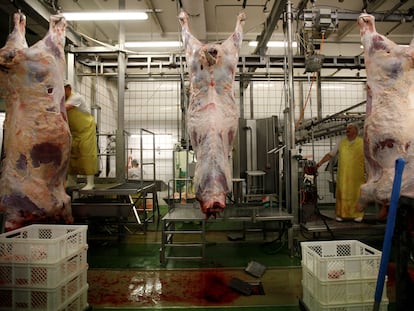 Un matadero de Polonia que produce carne 'halal' y 'kosher', en 2013.