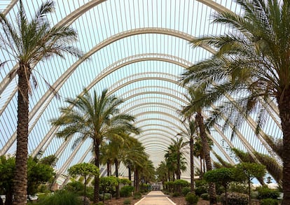 El jardín, el escenario alternativo para los conciertos de verano.