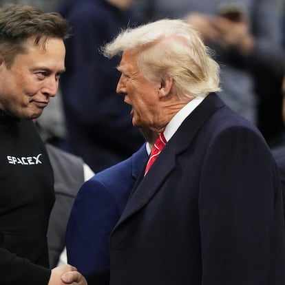 Elon Musk y Donald Trump en un combate de lucha libre el pasado 22 de marzo.