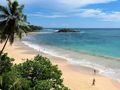Playa de Mirissa en Sri Lanka.