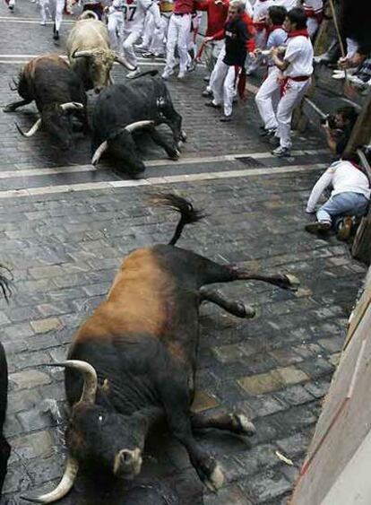 Los <i>cebada gago,</i> a su paso por Mercaderes.