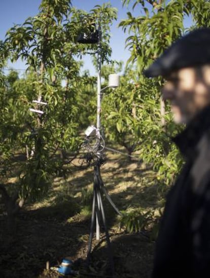 Una de las estaciones de sensores de la finca de nectarinas de Primor.