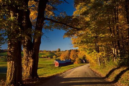 La granja Jenne Road, rodeada de arces, en Vermont.