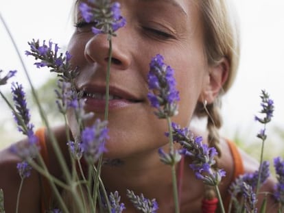 Uma mulher cheira lavanda.