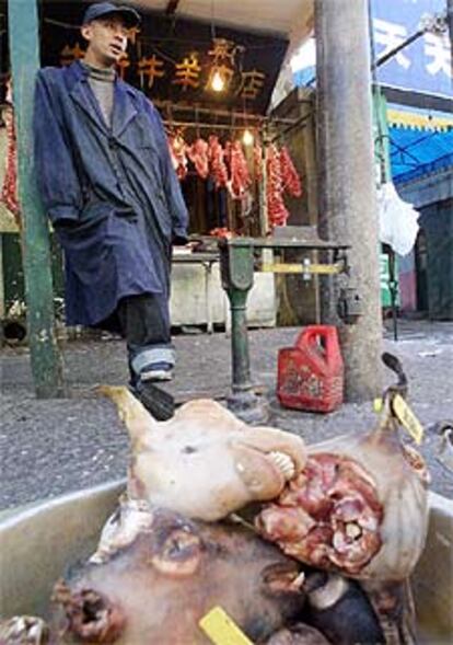 Piezas animales en venta en un mercadillo de Pekín.