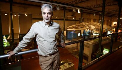 El investigador Miguel B. Araújo en el Museo Nacional de Ciencias Naturales de Madrid.