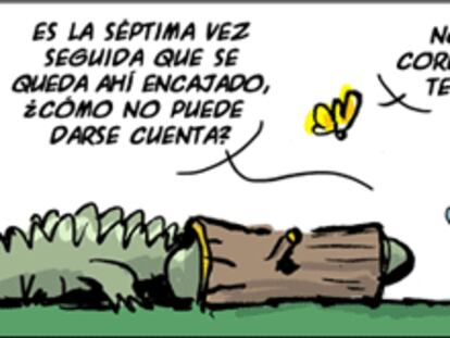 RAMÓN