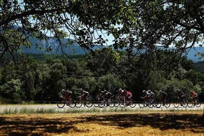 El pelotón del Tour 2015 pasa por una carretera secundaria entre las localidades de Bourg de Peage y Gap en la decimosexta etapa de la ronda gala.