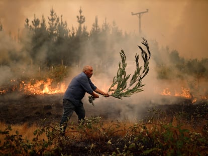 Bomberos y habitantes trabajan en apagar un incendio en Santa Juana (Chile).