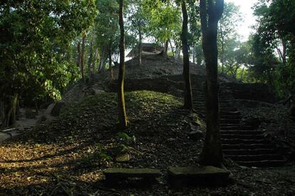 "La tumba fue localizada dentro de una subestructura en 1999 bajo el Templo XX, sin embargo, su intrincada ubicación y el trabajo de consoliación del basamento habían impedido, hasta ahora, penetrar al recinto que guarda celosamente los restos mortales de un personaje muy importante de esa antigua ciudad maya", dijo el INAH. Este personaje "vivió en la época más temprana del sitio, entre 431 y 550 de nuestra era", agregó. Los arqueólogos bajaron a cinco metros de profundidad una cámara de vídeo de 4 por 6 centímetros y de apenas 94 gramos de peso por un orificio de 15 por 15 centímetros para hacer la exploración de sondeo. TEXTO: EFE