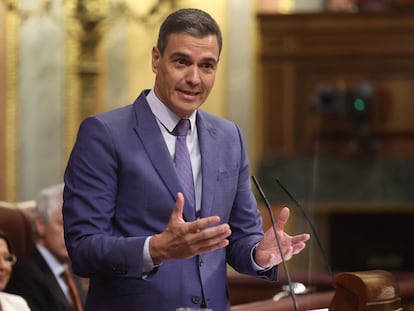 El presidente del Gobierno, Pedro Sánchez, interviene en una sesión plenaria, en el Congreso de los Diputados, este miércoles, en Madrid (España).