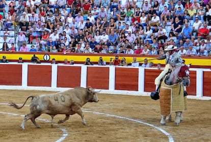 Novillo de Prieto de la Cal, lidiado en 2018 en Calasparra (Murcia).