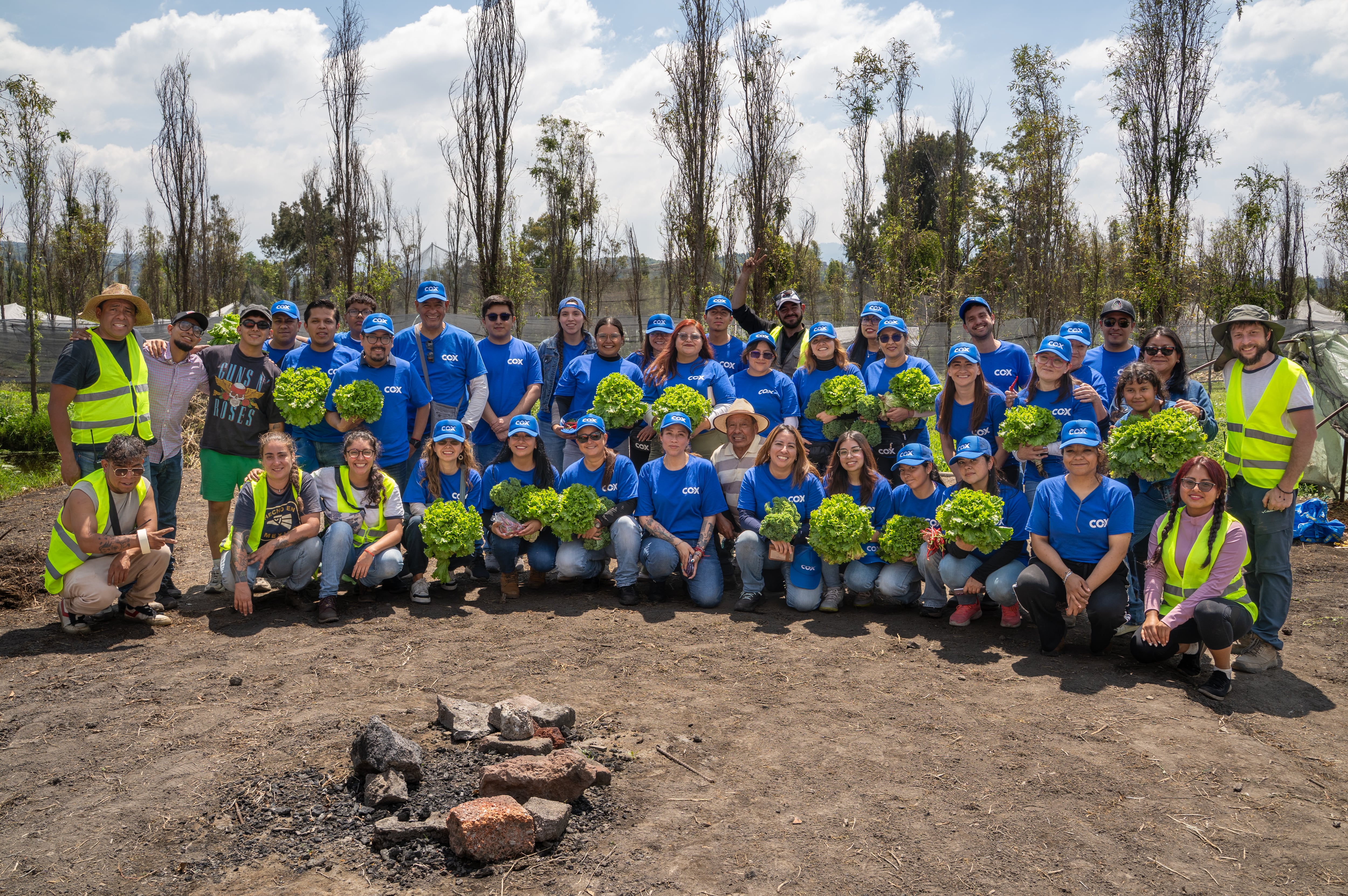 Cómo transformar Xochimilco de la raíz a la punta
