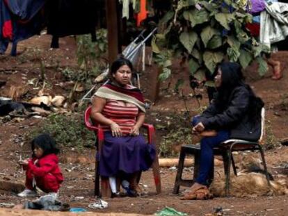 Maior cidade do Brasil tem uma população indígena que luta para que suas terras sejam demarcadas Nesta semana, sofreram um revés com a anulação do Ministério da Justiça do processo