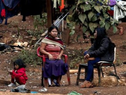 Maior cidade do Brasil tem uma população indígena que luta para que suas terras sejam demarcadas Nesta semana, sofreram um revés com a anulação do Ministério da Justiça do processo