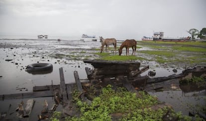 Basura y el esqueleto de una barcaza que la bajada del nivel del agua ha dejado cerca del muelle de Moyogalpa, en el lago Cocibolca.