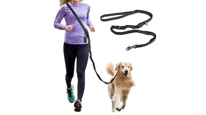 Correa para correr con Perro, Correa perro manos libres, ¿Cómo salir a correr con tu perro?, correr con perro, running con perros