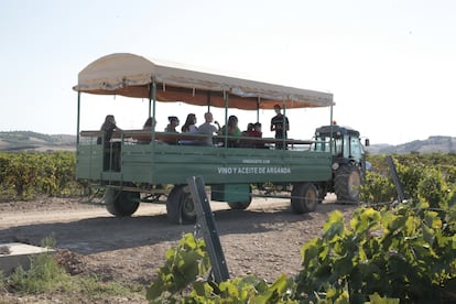 Cabriola en la que grupos de diez personas visitan los viñedos y olivares de Vinícola de Arganda.