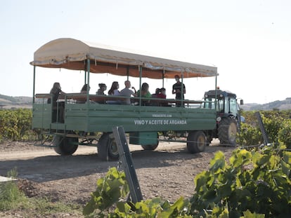 Cabriola en la que grupos de diez personas visitan los viñedos y olivares de Vinícola de Arganda.