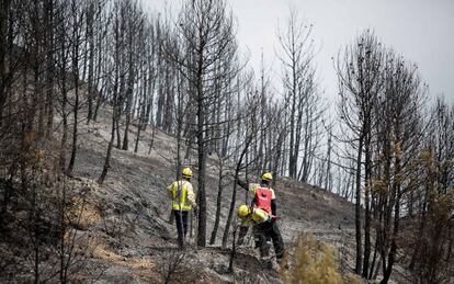 Bombers a la zona de l'incendi d'Òdena del juliol.