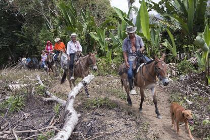 Miembros de la Comunidad de Paz subiendo a la vereda de Mulatos, una de las 32 poblaciones rurales del corregimiento de San José de Apartadó, donde también viven familias miembro de la Comunidad. 