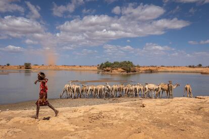 En la imagen, Bukhari Aden, de 10 años, llega a una laguna para ayudar a su madre, Dama Mohammed, a dar de beber a los camellos y burros, y llevar dos bidones de agua a casa para las vacas. Nunca ha ido a la escuela. “En nuestro pueblo, los niños son los responsables de cuidar a los animales. Si hubiera agua disponible cerca del pueblo, sería fácil para mí ir a la escuela”.