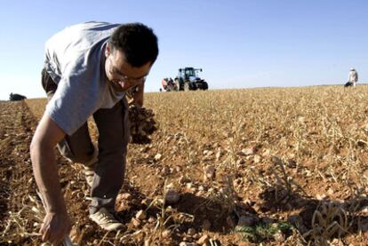 Finca de agricultura ecológica en Cuenca, financiada por Triodos Bank.