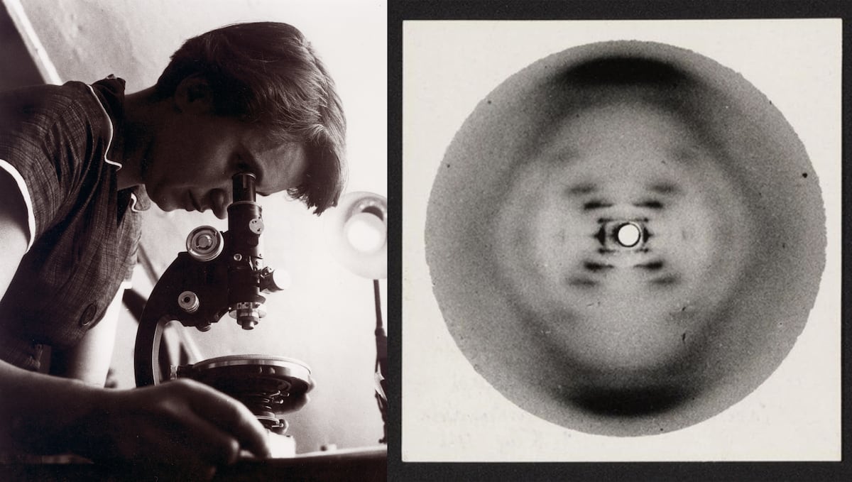 Rosalind Franklin had seen the helix: A forgotten photograph rewrites ...