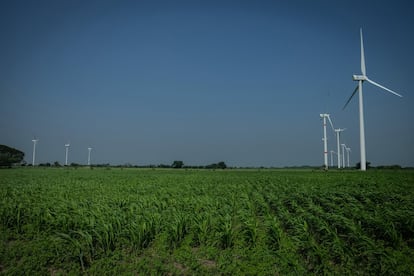A finales de los años noventa, “unas veletas muy chistosas”, tal y como describe Ná Lupita, aparecieron en el paisaje. Las torres con turbinas blancas se multiplicaron en la región rápidamente. En 1994 se instaló el parque piloto conocido como La Venta en Juchitán, un poblado a solo 20 minutos de Unión Hidalgo. Tanto 'Ná Lupita' como otras personas de la comunidad lograron que los aerogeneradores no se instalaran en sus tierras. Por ello, en el Istmo de Tehuantepec, se observan espacios vacíos dentro del parque eólico.