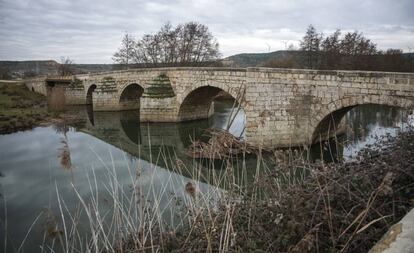 El río Carrión a su paso por la localidad palentina de Husillos.