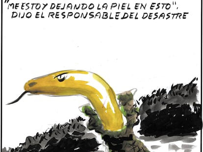El Roto