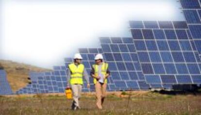 Trabajadores de un parque fotovoltaico