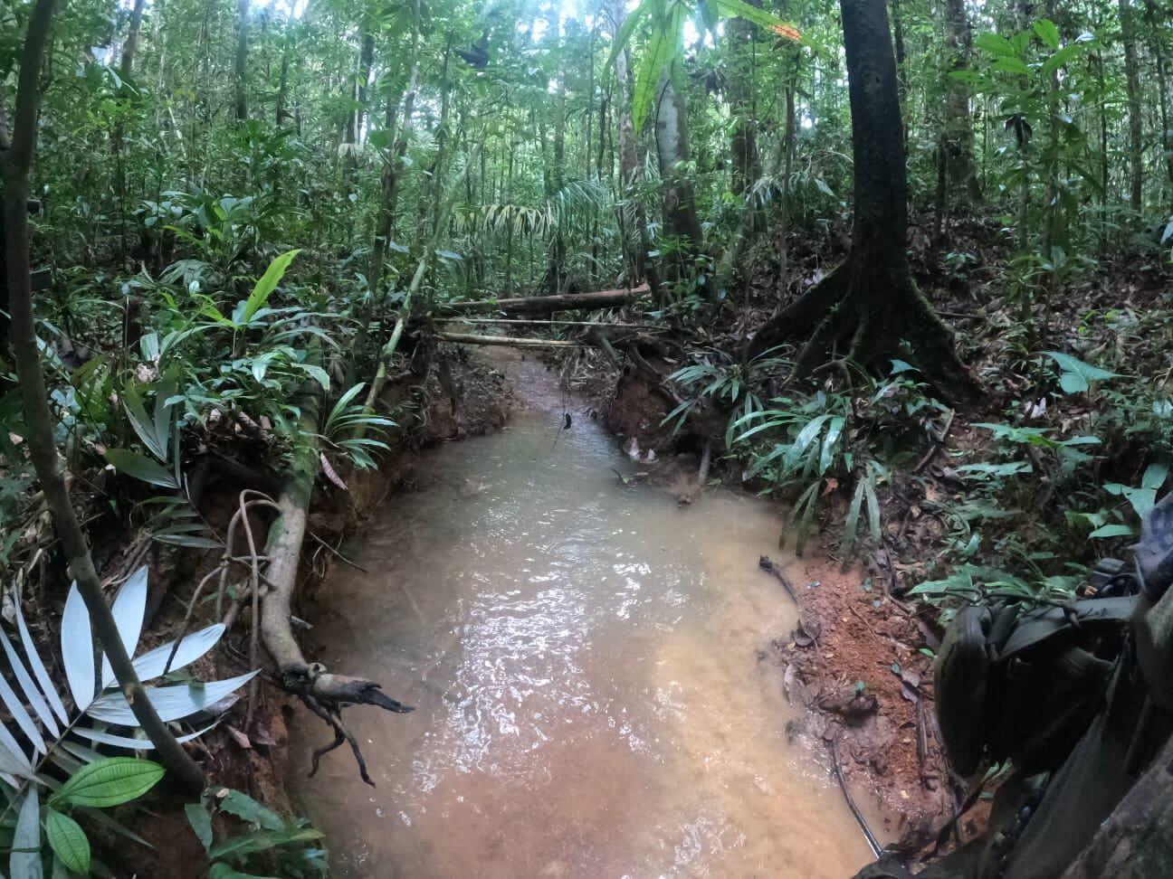 El sitio donde se encontró una huella (abajo a la derecha, al borde del riachuelo).