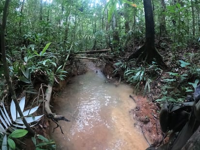 The site where a footprint was found (bottom right, at the edge of the stream).