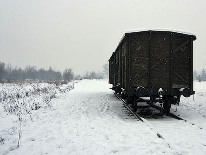 Un vag&oacute;n de carga en Birkenau, cerca de Auschwitz.