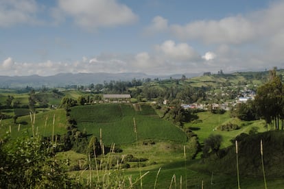 El Cumbal, el 21 de noviembre.