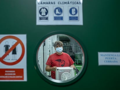 El investigador Jordi Figuerola, con un contenedor de mosquitos en la sede de la Estación Biológica de Doñana (CSIC) en Sevilla, en septiembre de 2020.