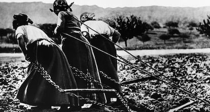 La agricultura en Francia durante la Gran Guerra recayó sobre las mujeres.