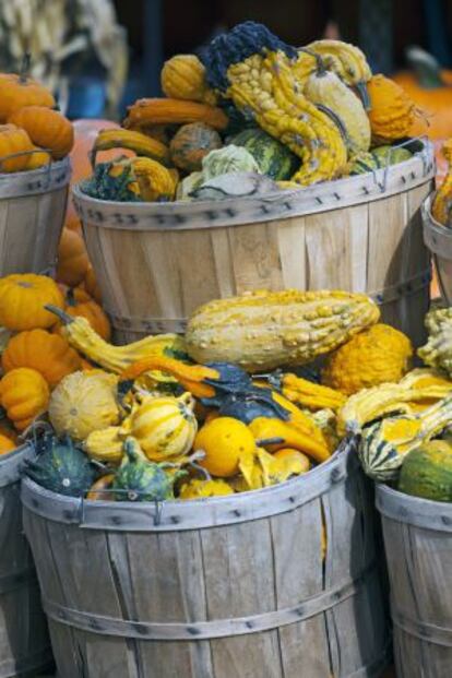 Calabazas en el mercado de Atwater, Montreal.