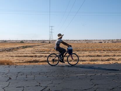 Un trabajador agrícola se traslada bajo el sol hacia a un campo en San Luis Río Colorado, Sonora, en julio de 2023.
