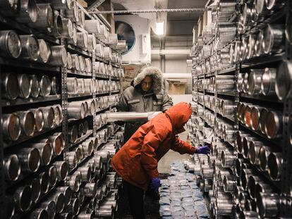 Lonnie Thompson y Ellen Mosley-Thompson extraen muestras de hielo en el el pabellón congelador del Byrd Polar and Climate Research Center de la Ohio State University en Columbus (Estados Unidos).
