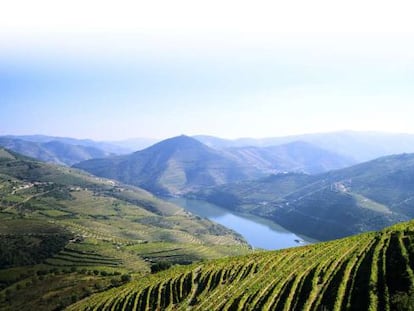 Paisaje de vi&ntilde;edos en la Quinta do Infantado, en &shy;Pinh&atilde;o, situado en la regi&oacute;n del Douro.